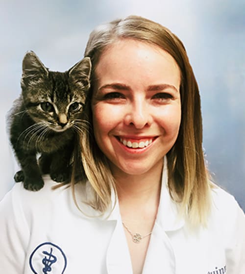 Dr. Naomi Quinn, Marina del Rey Veterinarian